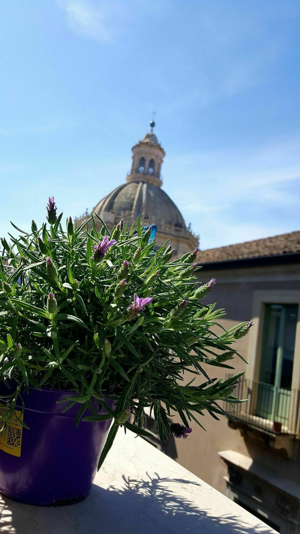 Affittacamere Casa Provenza 3*